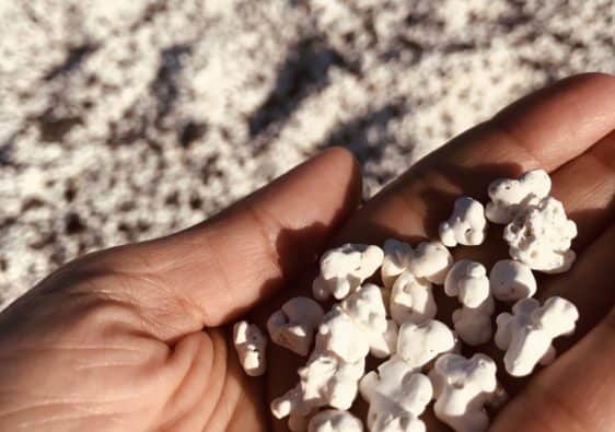 How to get to popcorn beach Fuerteventura