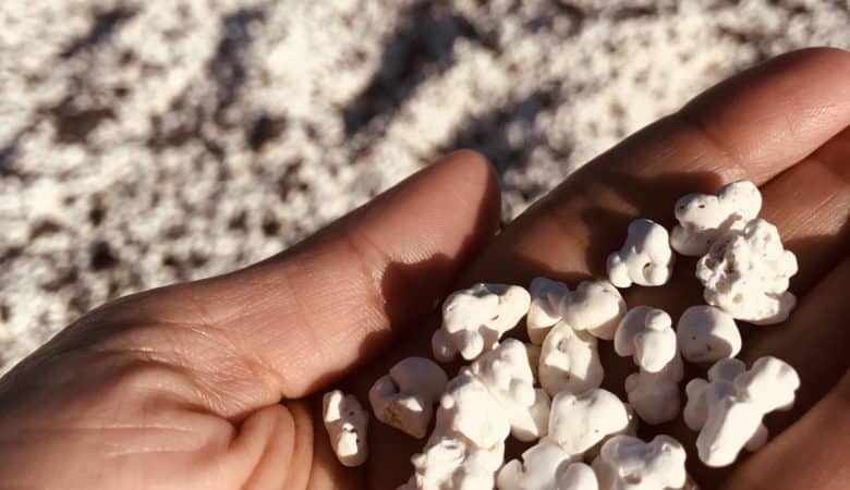 How to get to popcorn beach Fuerteventura