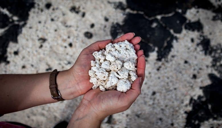 Fuerteventura popcorn beach