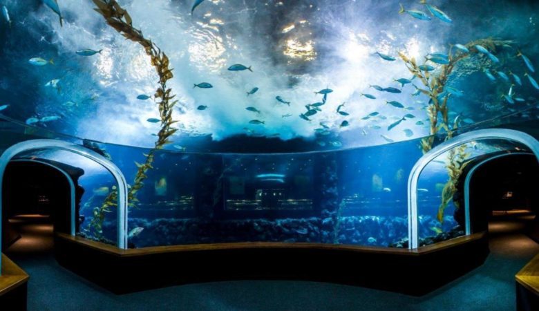 Aquarium Las Palmas